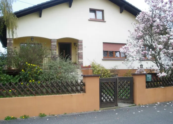 公寓 Du Frankenbourg *